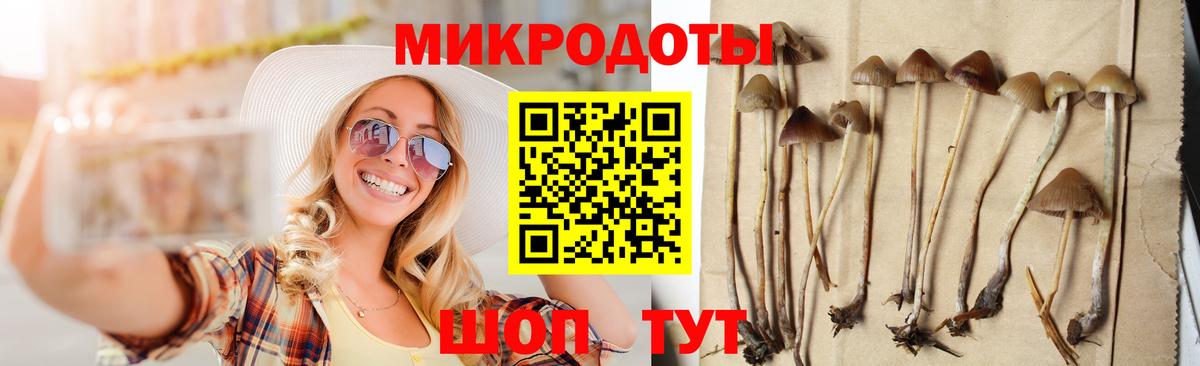 Галлюциногенные грибы GOLDEN TEACHER Сокол