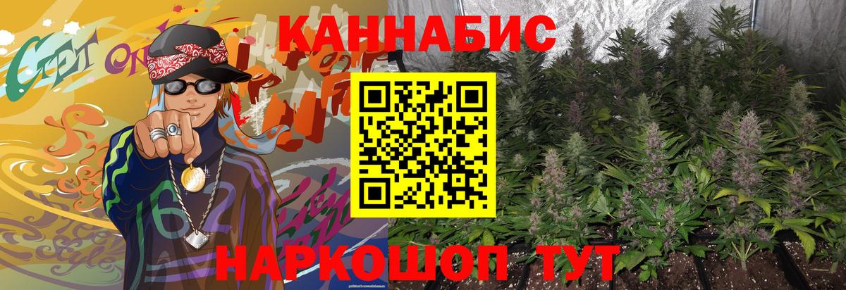 Сокол  МАРИХУАНА Amnesia  Бошки марихуана индика  Вход с VPN  Конопля план  МАРИХУАНА Amnesia 